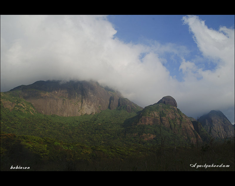 Agastyakoodam aka Agastyarkoodam - the majestic peak with its lores, herbs and wonders of mother nature which makes us understand how silly we humans are.